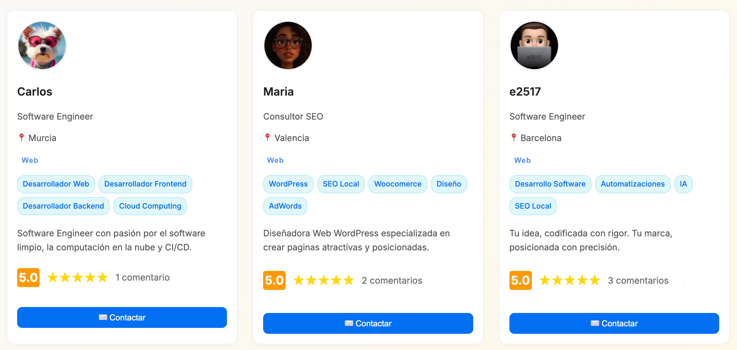 Freelancers IT, especialistas en Web, Mobile, SEO, ADS, IA